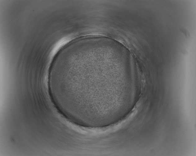 X0000113860006200910081715