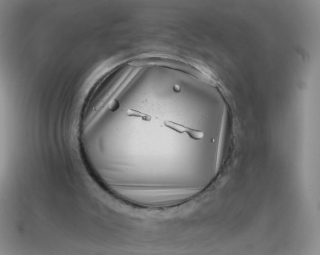 X0000113860007200910081715