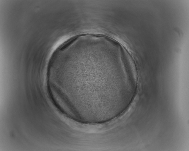 X0000113860008200910081715