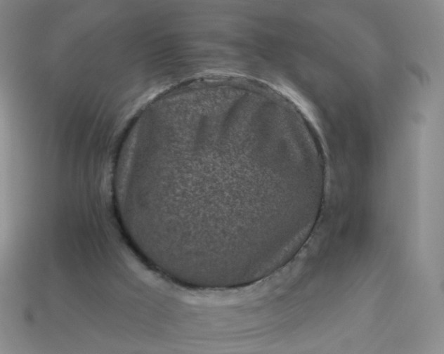 X0000113860009200910081715