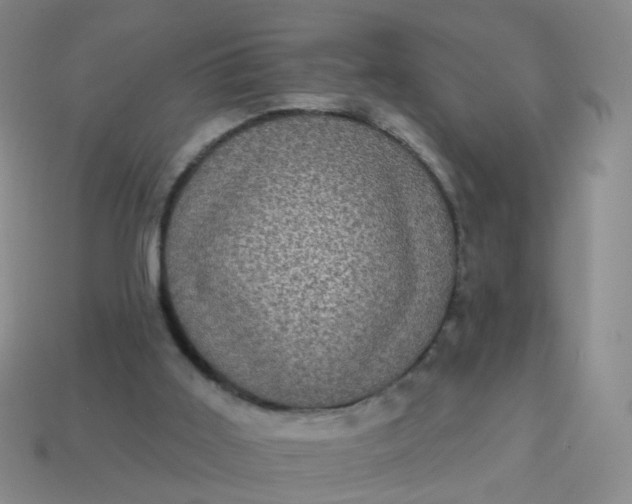 X0000113860011200910081715