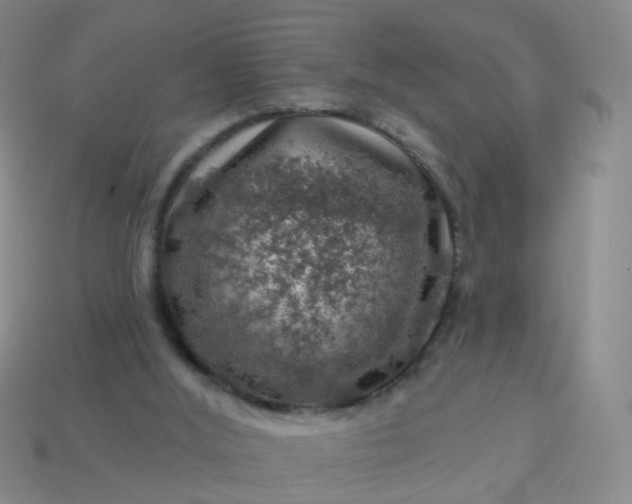 X0000113860012200910081715