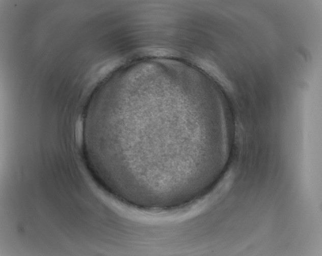 X0000113860014200910081715
