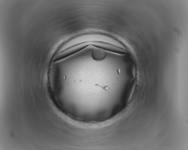 X0000113860015200910081715