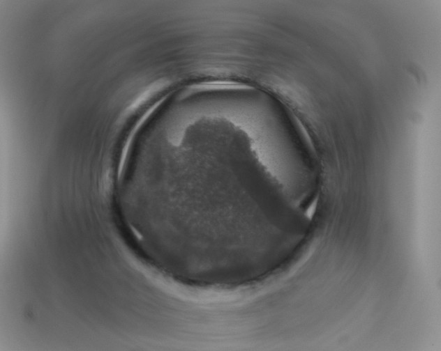 X0000113860016200910081715