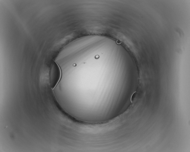 X0000113860017200910081715