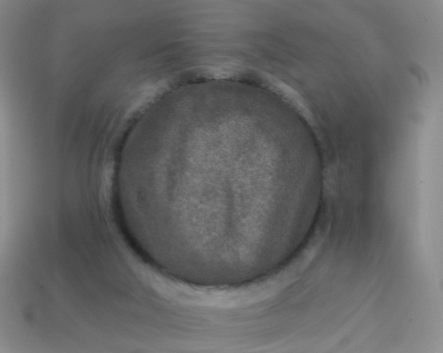 X0000113860018200910081715