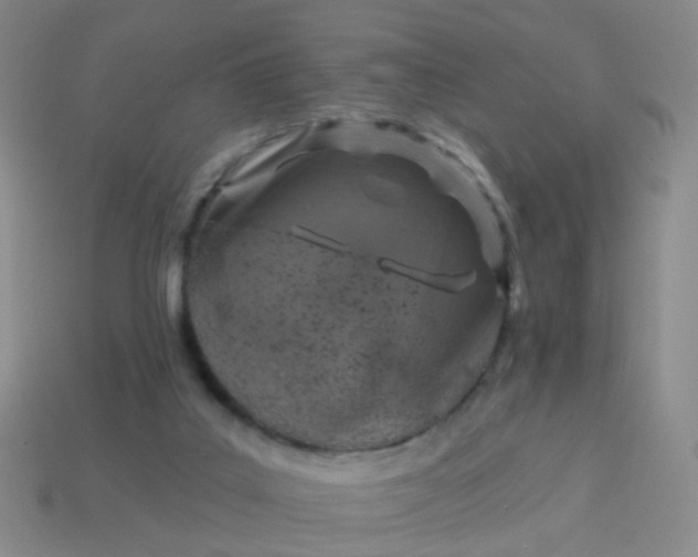 X0000113860019200910081715