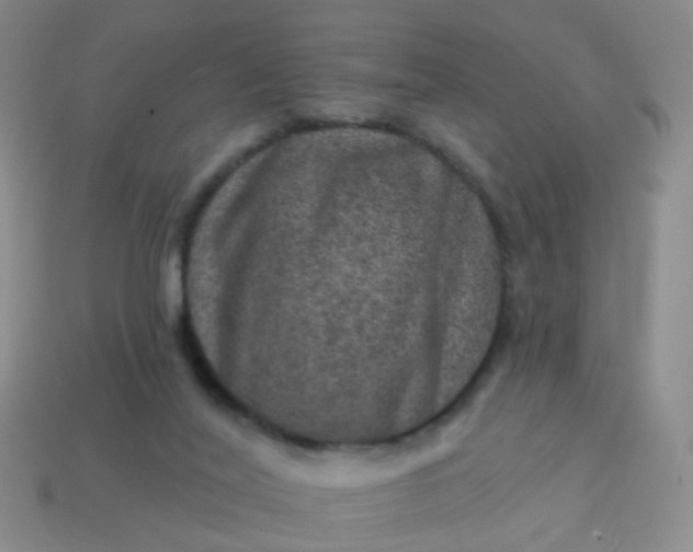 X0000113860020200910081715
