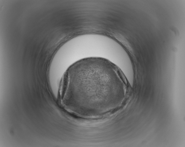 X0000113860021200910081715