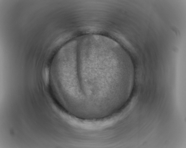 X0000113860022200910081715