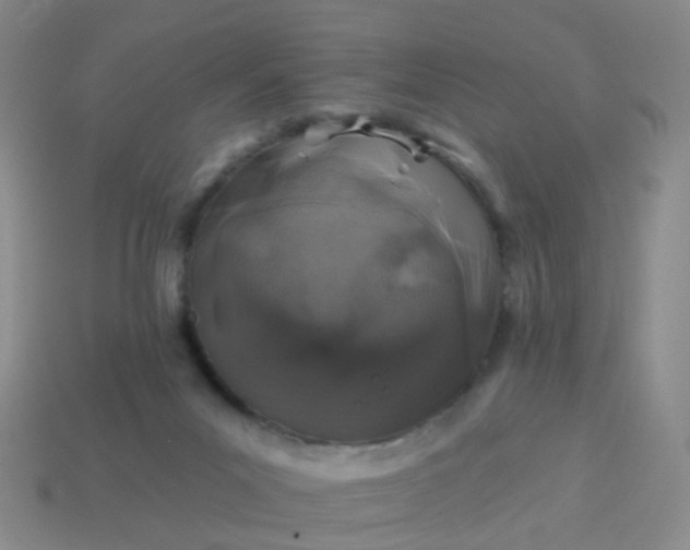 X0000113860023200910081715