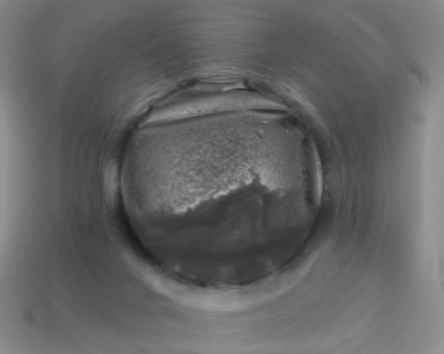 X0000113860024200910081715