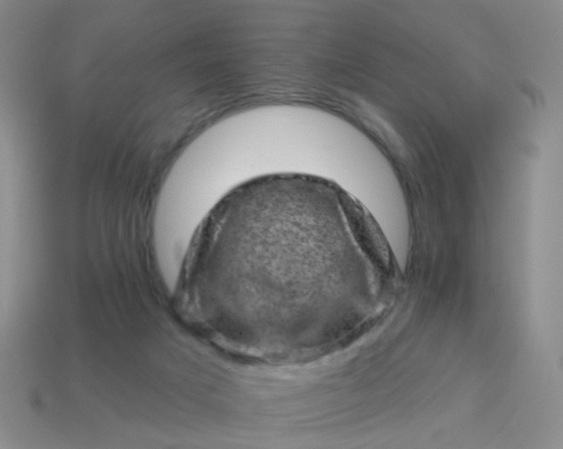 X0000113860025200910081715