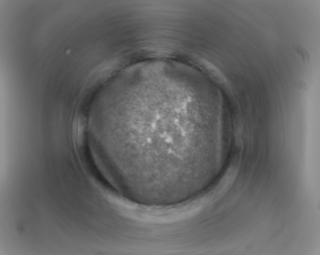X0000113860026200910081715
