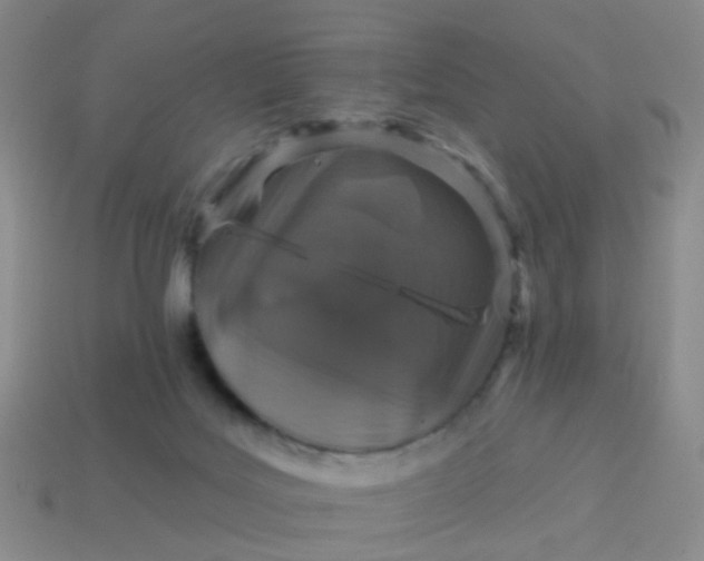 X0000113860027200910081715
