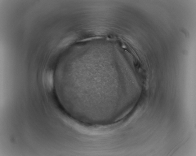X0000113860028200910081715