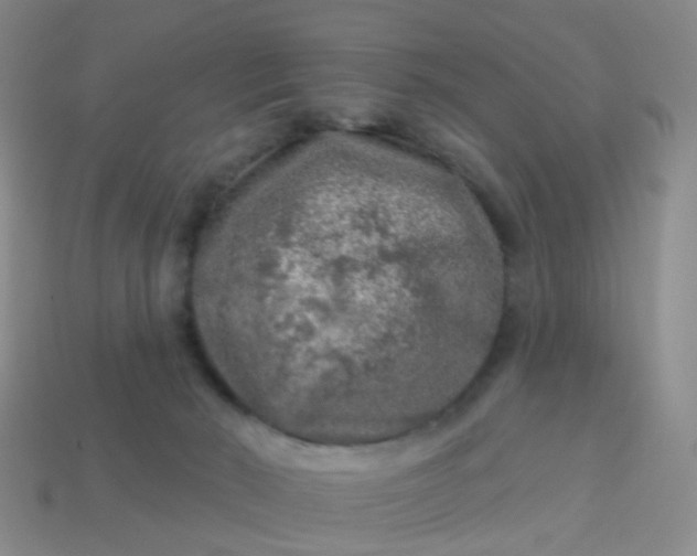 X0000113860030200910081715