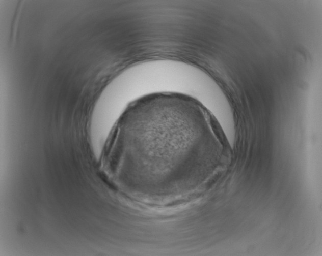 X0000113860031200910081715