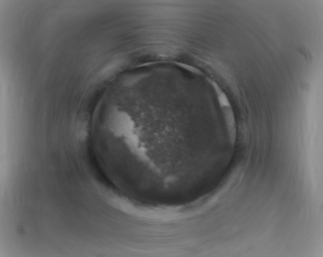 X0000113860032200910081715