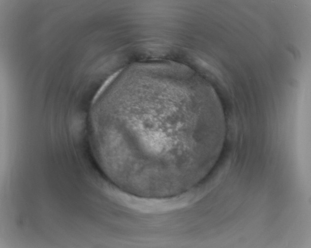 X0000113860034200910081715