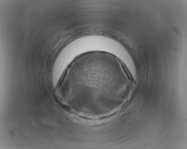 X0000113860035200910081715