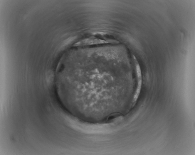 X0000113860036200910081715