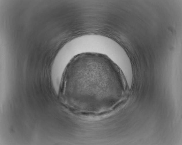 X0000113860037200910081715
