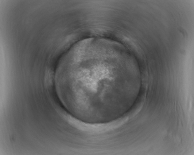 X0000113860038200910081715