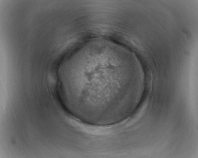 X0000113860040200910081715