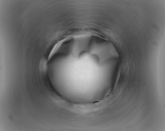 X0000113860041200910081715