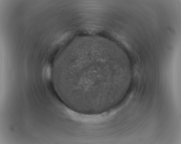 X0000113860042200910081715