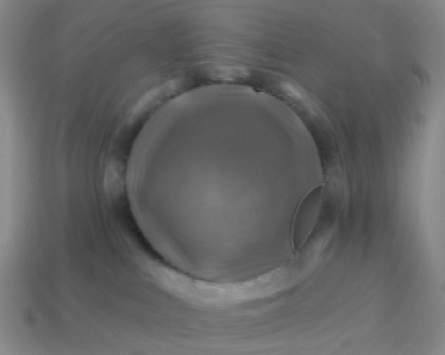 X0000113860043200910081715
