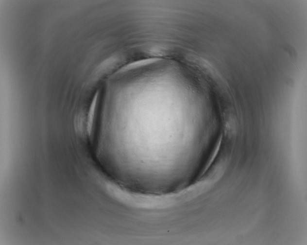X0000113860044200910081715