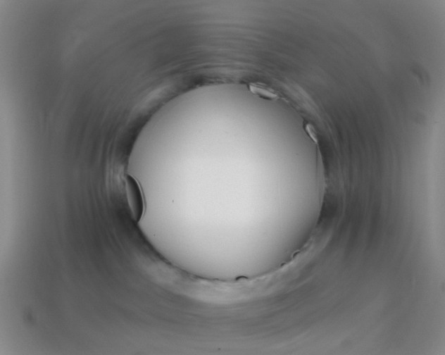 X0000113860045200910081715
