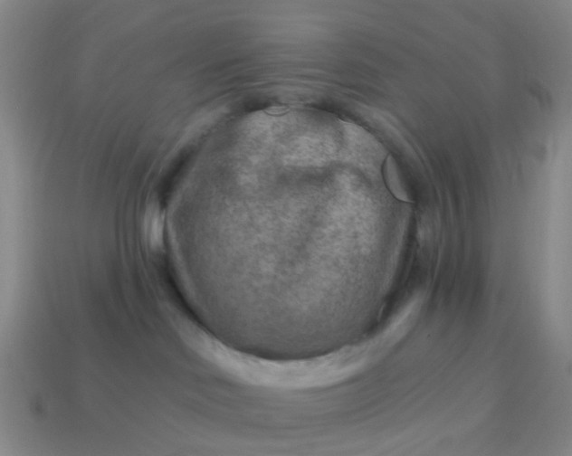 X0000113860046200910081715