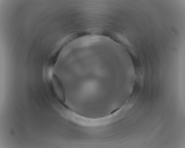 X0000113860047200910081715