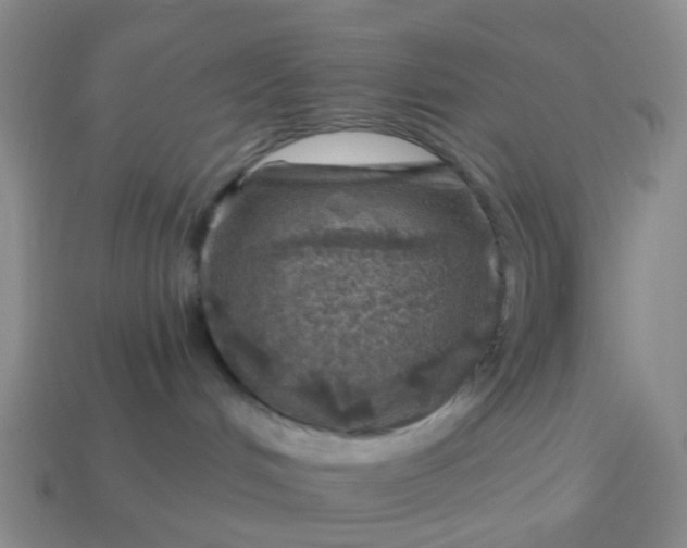 X0000113860048200910081715