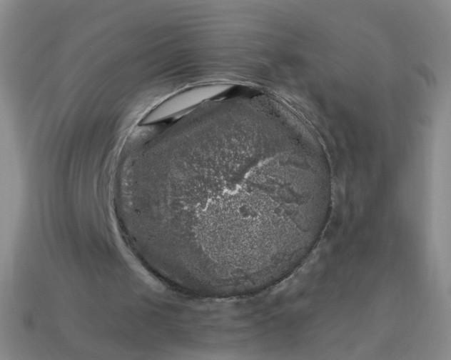 X0000113860049200910081714