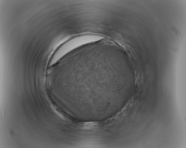 X0000113860050200910081714