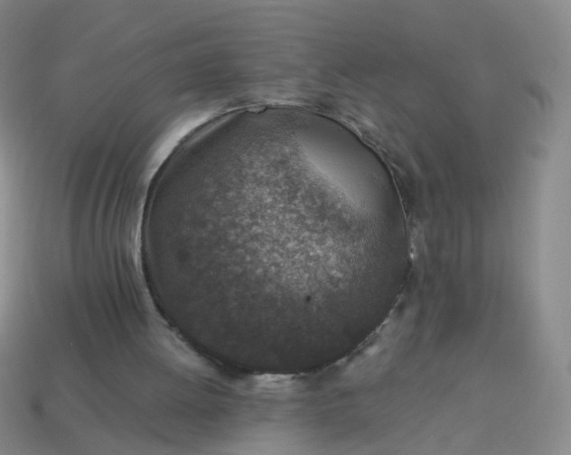 X0000113860052200910081714
