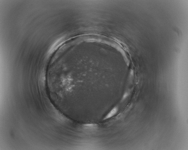 X0000113860053200910081714