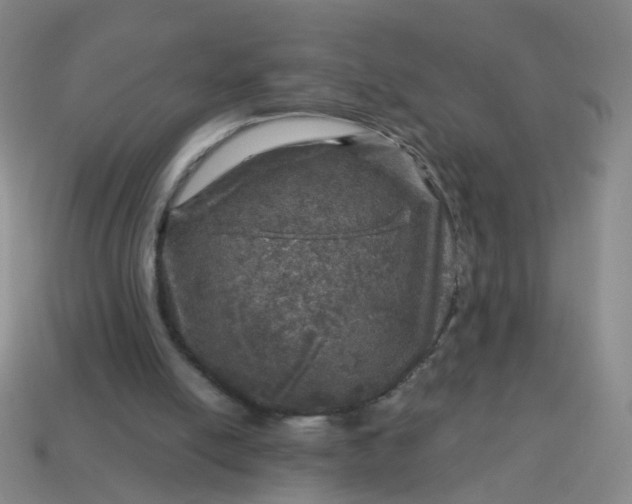 X0000113860054200910081714