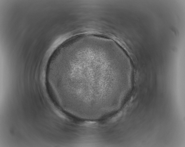 X0000113860055200910081714