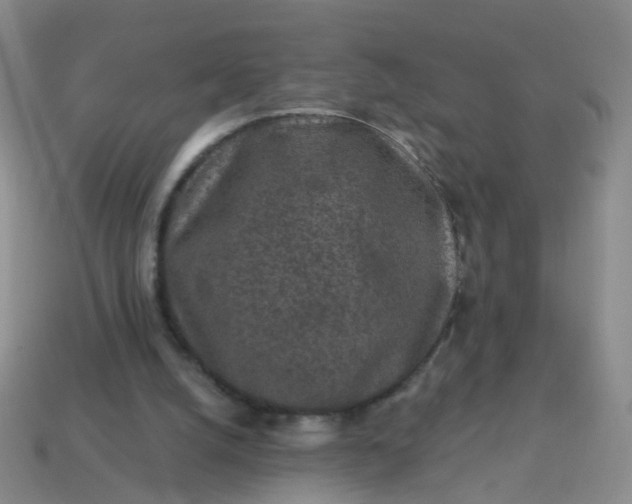 X0000113860056200910081714