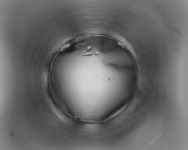 X0000113860057200910081714