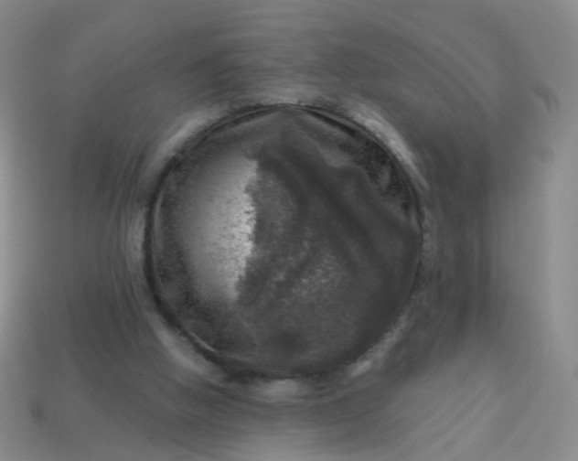 X0000113860058200910081714