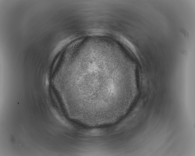 X0000113860059200910081714
