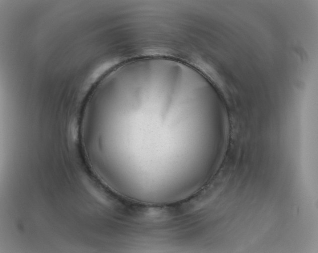 X0000113860060200910081714