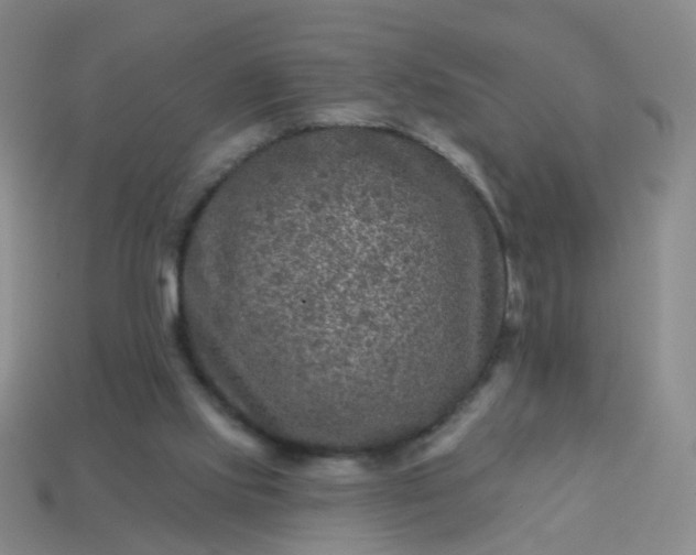 X0000113860061200910081714